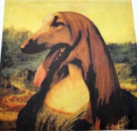 16911