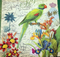 18954