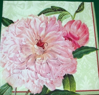 19172