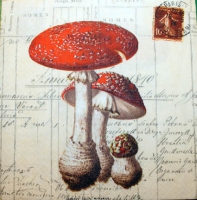19761