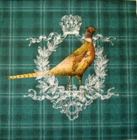 20067