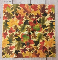 25005