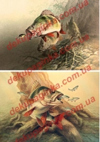К-0059